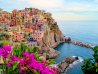 Day Trip to Cinque Terre